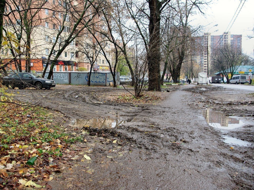 Хватит сидеть дома. На улице весна — самое прекрасное время ... | 40 кошек  | Фотострана | Пост №1661034013