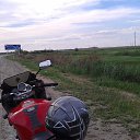 ��������� 2017 �� ������� ���� ����������