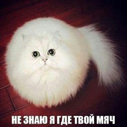 ���� Nikolay, ����, 46 ��� - ��������� 1 ������� 2017