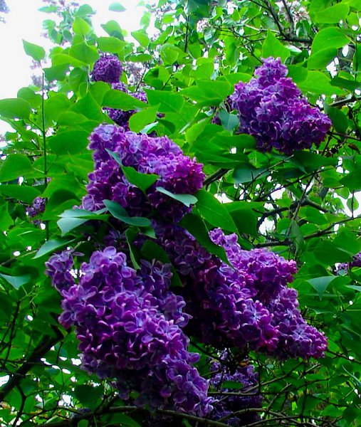 ���� � ���� �������� ������, ������� � �� ������ �� ����.... � ��� ������� ������������� �, ����� �� ...