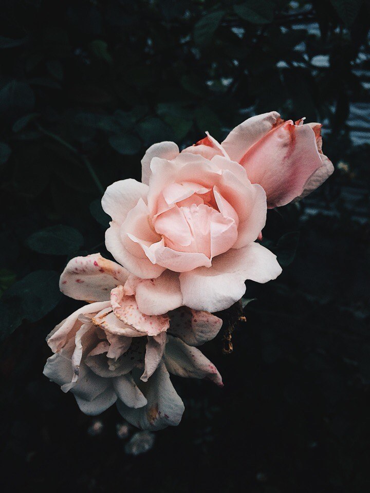   - 10  2018  03:58