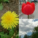  , , 60  -  13  2018   9  2018 