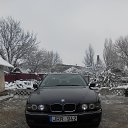 ���� �������, ��������, 49 ��� - ��������� 26 ������ 2017