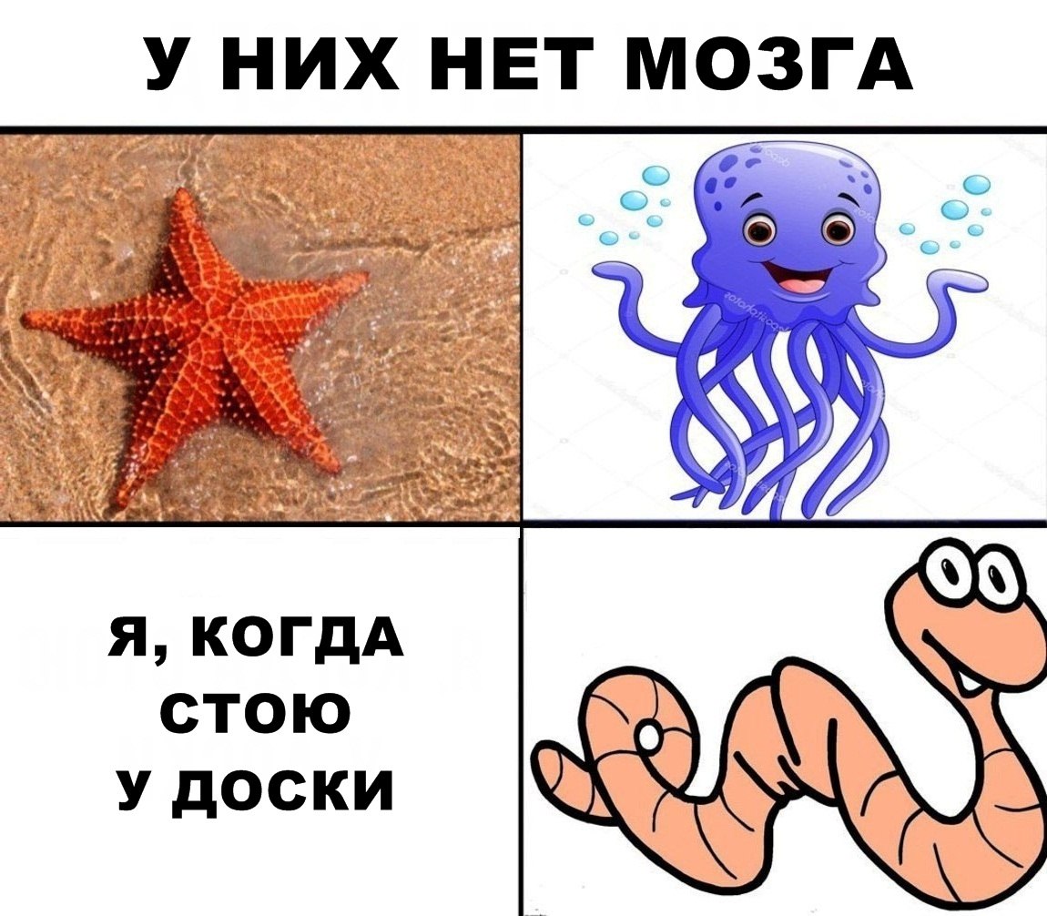׸  - 12  2018  02:51