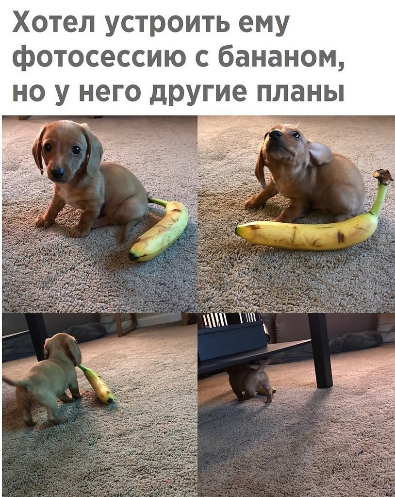 �������� �������� - 27 ������ 2018 � 13:13