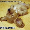 ���� ������, ����������� - ��������� 12 ������� 2018 � ������ ���� ����������