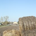 ���� Vadim, ���������, 50 ��� - ��������� 6 ������ 2018 � ������ �������