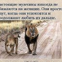 ���� �, ��������, 35 ��� - ��������� 25 ������ 2017 � ������ ���� ����������