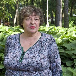 ���� ����, ������ - ��������� 11 ����� 2018