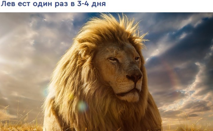    ר! - 12  2018  03:54