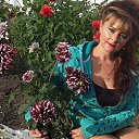 ���� ����, ����������� - ��������� 26 ��� 2018 � ������ ���� ����������