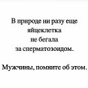 ���� El, ������ - ��������� 21 ��� 2018 � ������ ���������...�