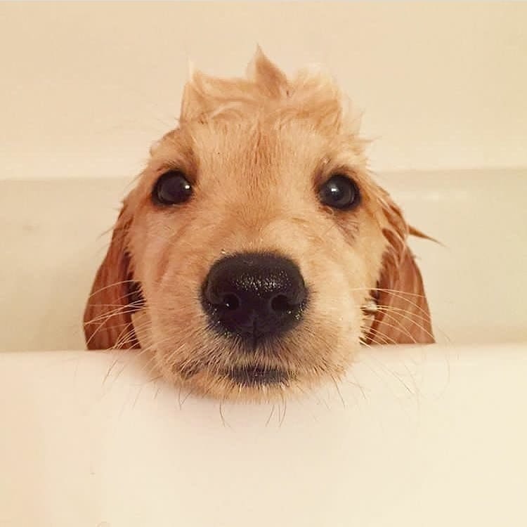 ������ - 7 ������� 2018 � 03:51