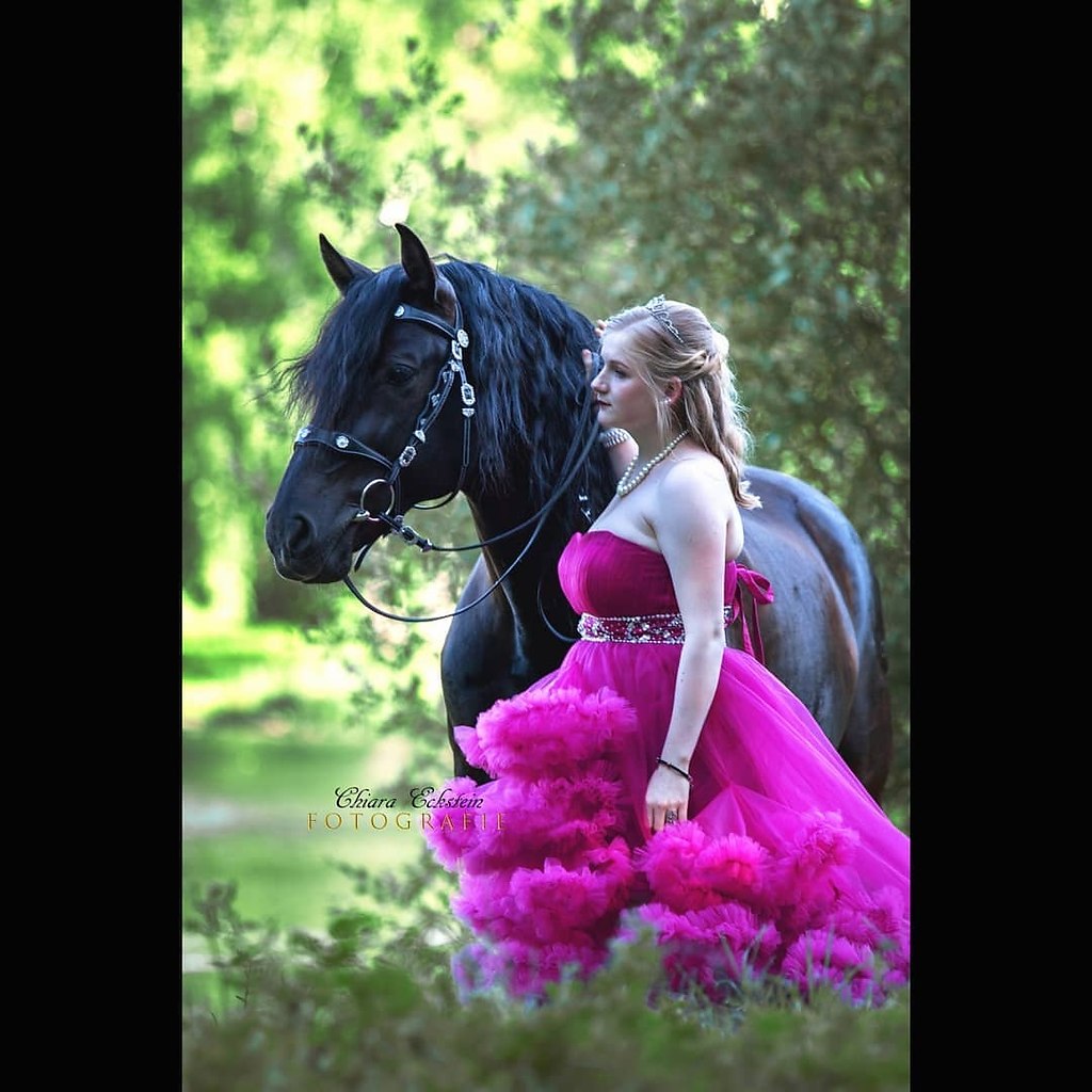  -   ! - 3  2018  02:33