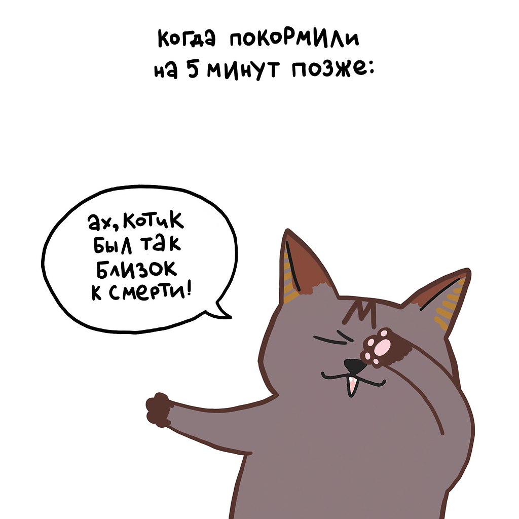  !   ,     .   - ...