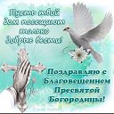 ���� �����, ���� - ��������� 7 ������ 2018 � ������ ���� ����������