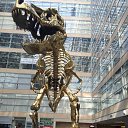 ���� �����, ��������, 41 ��� - ��������� 23 ������� 2017