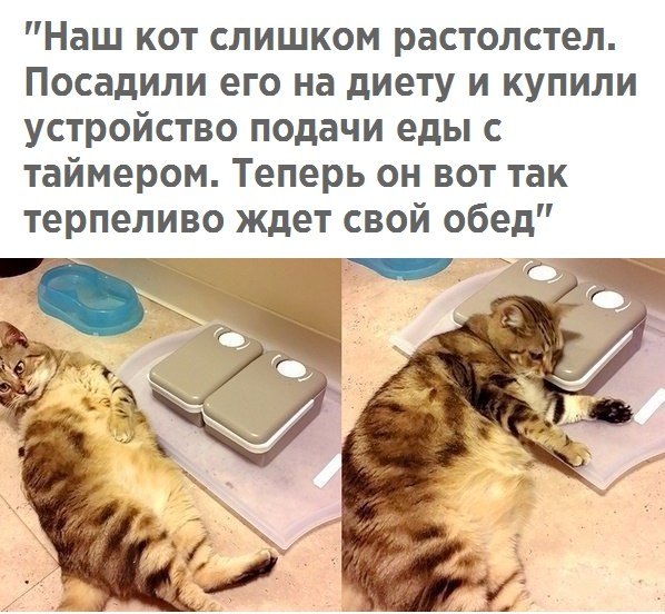       - 7  2017  03:51