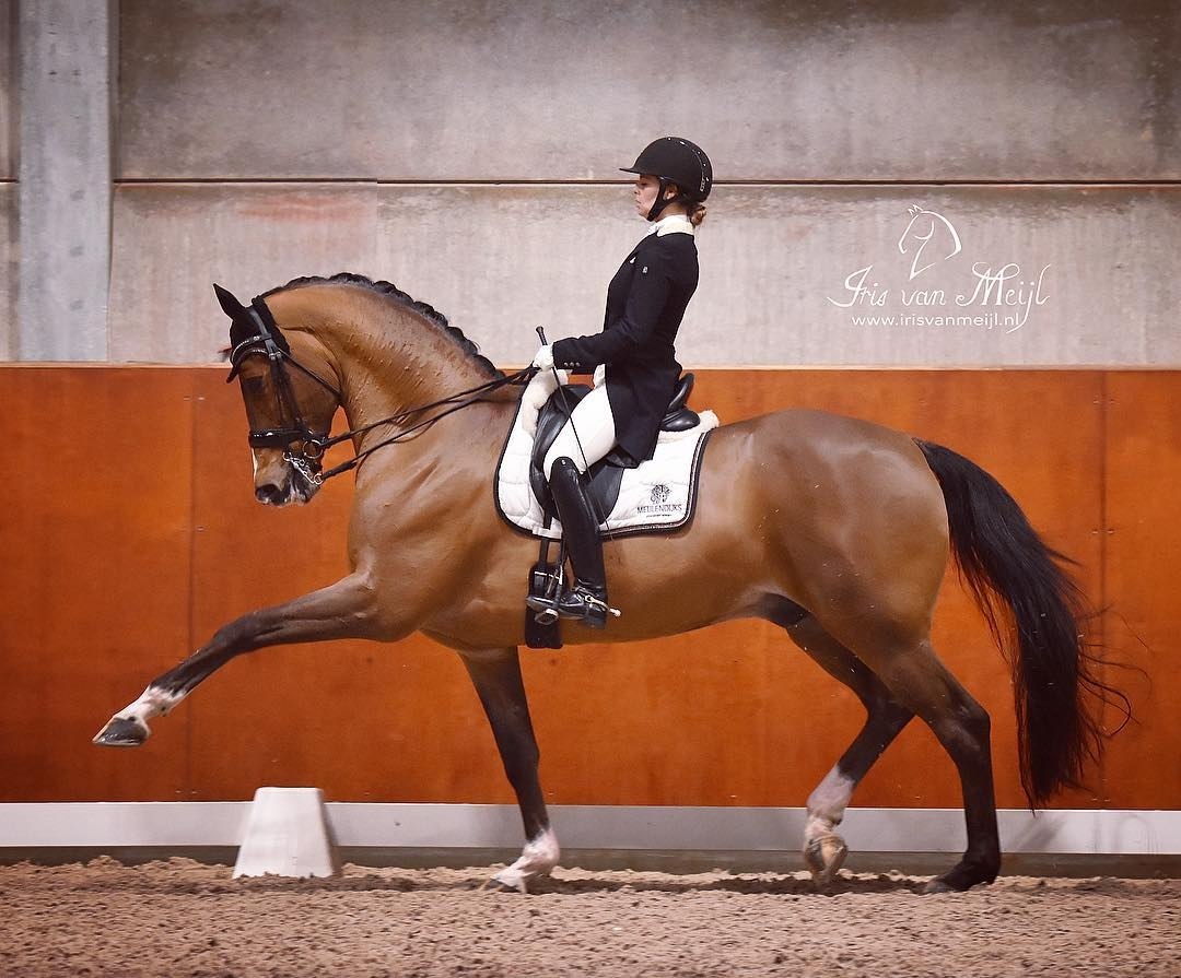  -   ! - 26  2017  03:27