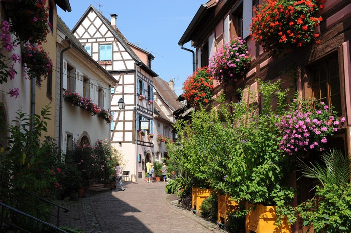   (Eguisheim) -   , .    . ... - 15