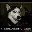 ���� Sam, ������������, 30 ��� - ��������� 6 ������� 2018 � ������ ���� ����������