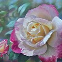 ���� Laura, ����� - ��������� 1 ���� 2018 � ������ ���� ����������