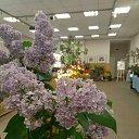 ���� ������, �����-���������, 70 ��� - ��������� 6 ����� 2018 � ������ ���� ����������