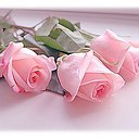 ���� ������, ��������� - ��������� 27 ������ 2017 � ������ ������ ��������