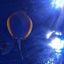 ���� Lidiya, ������, 62 ���� - ��������� 12 ����� 2018 � ������ ���� ����������