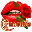 ���� �����, ������-���������, 51 ��� - ��������� 21 ������� 2018 � ������ �������� ��������