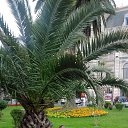 ���� Vardan, ��������, 46 ��� - ��������� 19 ������� 2017 � ������ ���� ����������