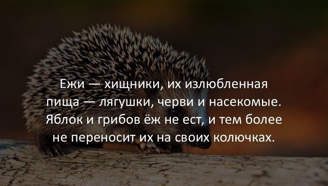   :    - 5  2018  02:34