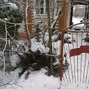 ���� ��������, �����-���������, 74 ���� - ��������� 9 ���� 2018 � ������ ���� ����������