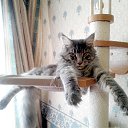 ���� ����, ���������, 53 ���� - ��������� 9 ������� 2017 � ������ ��������