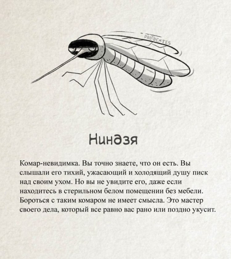   - 2