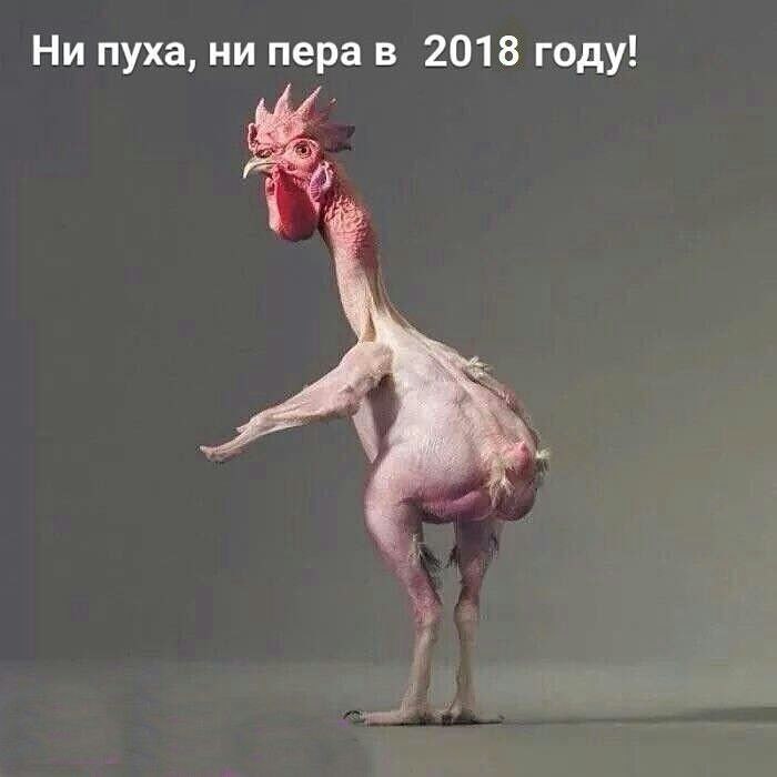   - 7  2018  19:35