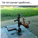  , , 63  -  24  2018   , ,  л