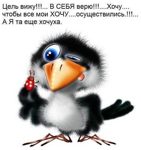  - 28  2018  19:16
