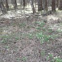 ���� �������, ������� �����, 50 ��� - ��������� 19 ��� 2018 � ������ ���� ����������