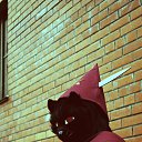  Catelutza, - -  21  2017   