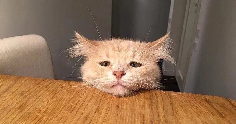            . - 5