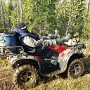 ���� ������, ��������, 49 ��� - ��������� 24 ������ 2017