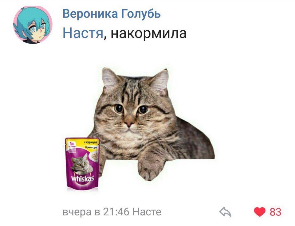  - 14  2018  02:34 - 4