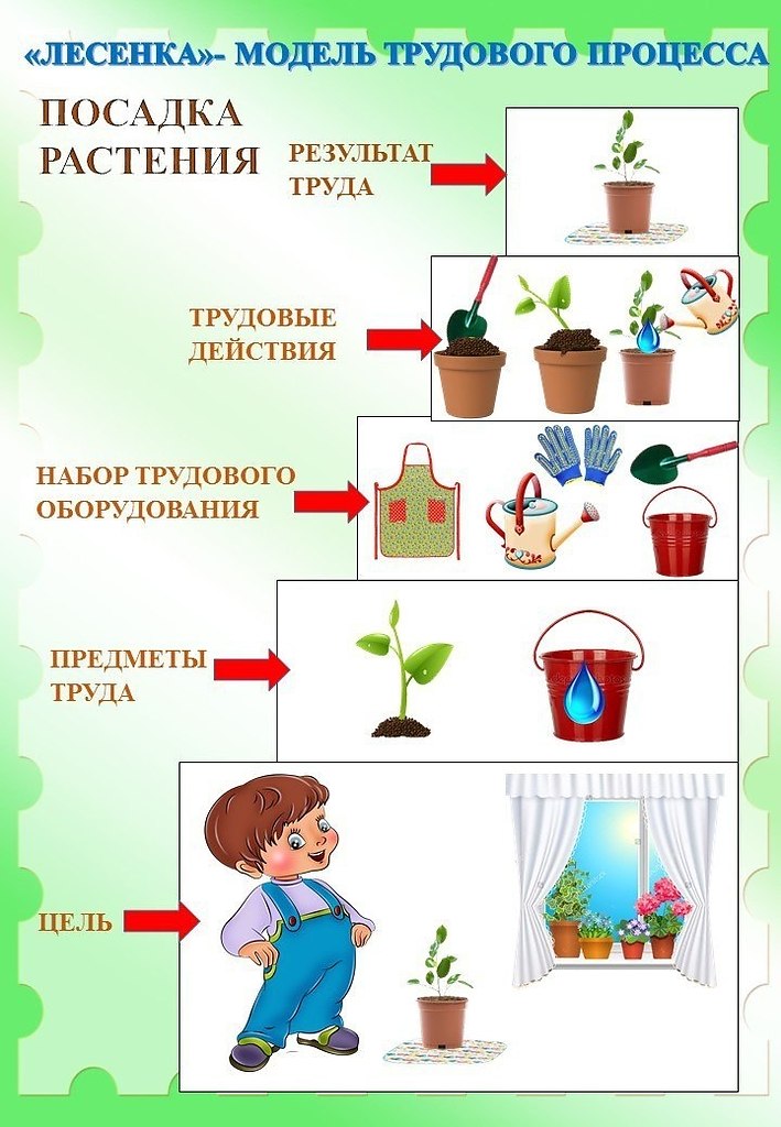 Технологическая карта по трудовому воспитанию в старшей группе