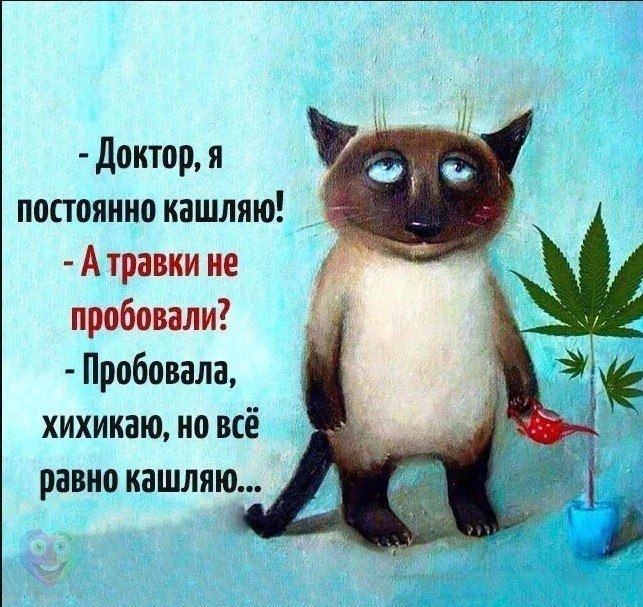    - 24  2018  17:28