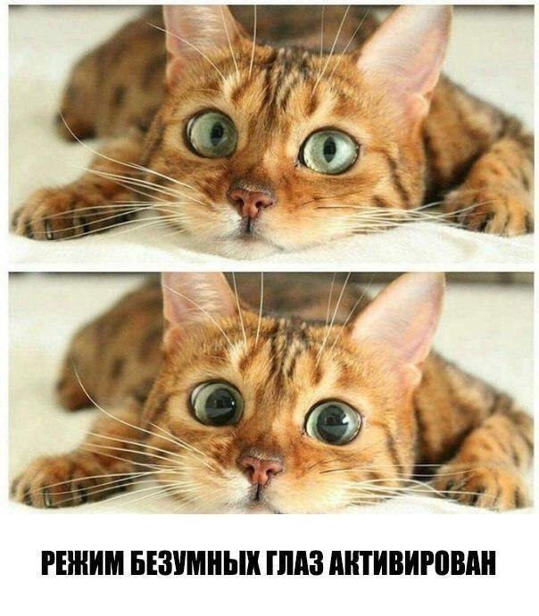  -  - 17  2018  03:31