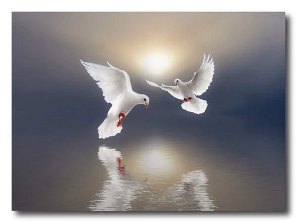    ,.   ,  ,   .   .  ...