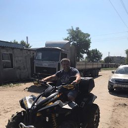 �����, �������, 49 ���