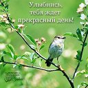 ���� A���� Sowan ( ������), ��������, 56 ��� - ��������� 4 ��� 2018 � ������ ������ ��������