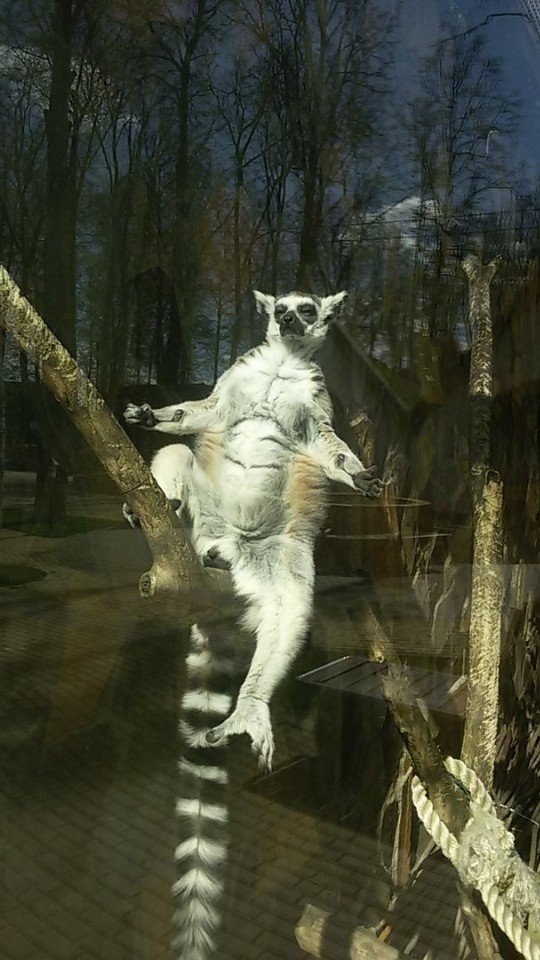   ,      